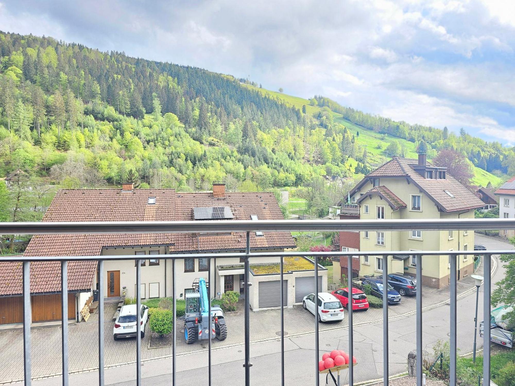 Black Forest II Sauna I Boxspring I Nespresso I Ausblick I Wasserfaelle Im Ort Todtnau Exterior photo