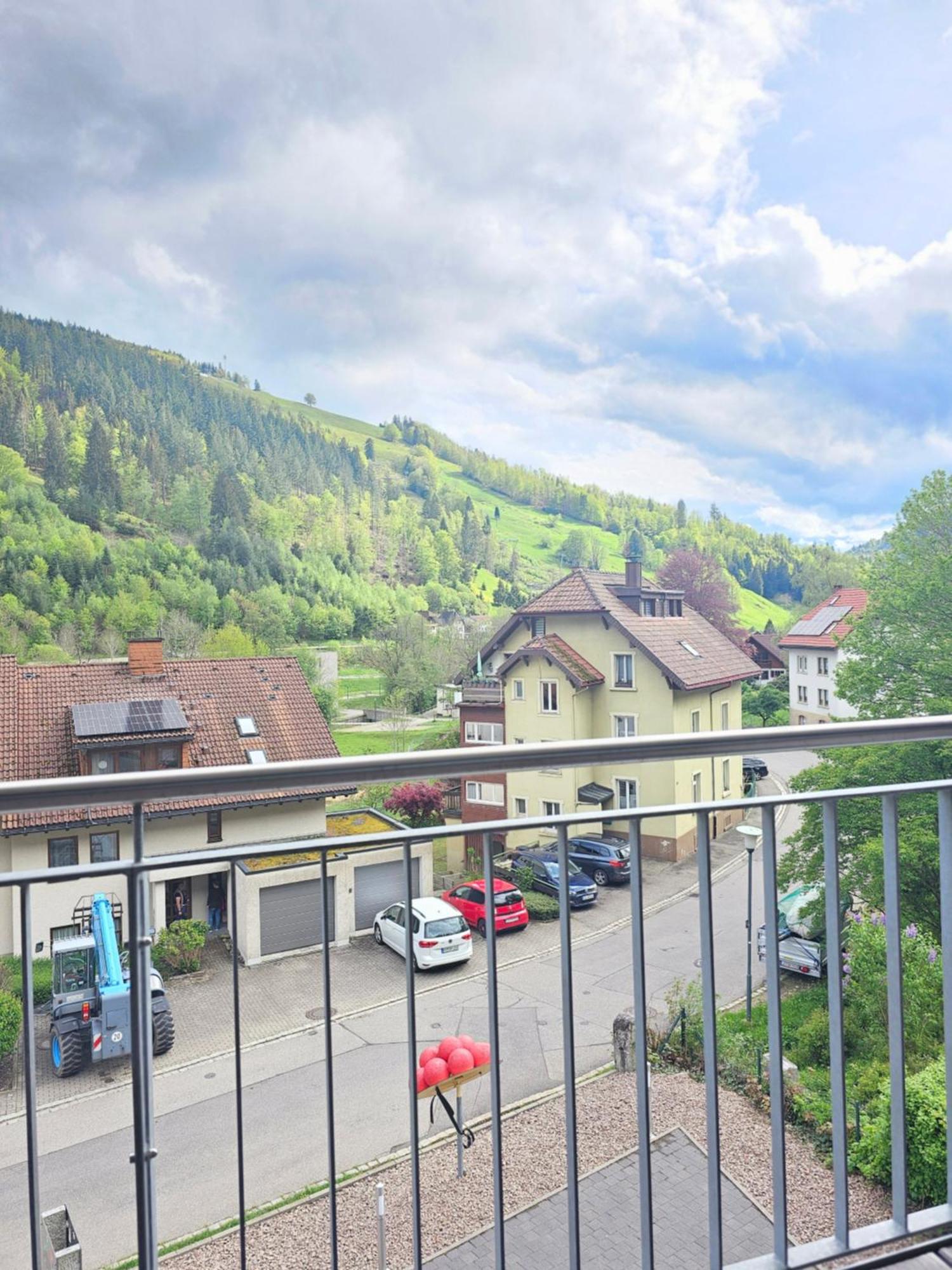 Black Forest II Sauna I Boxspring I Nespresso I Ausblick I Wasserfaelle Im Ort Todtnau Exterior photo